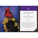 Meditation Cards Bird Vibes Beyond Words