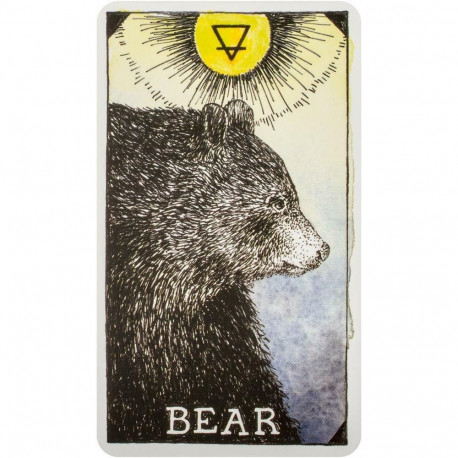 Tarot Cards The Wild Unknown Pocket Animal Spirit Harper One