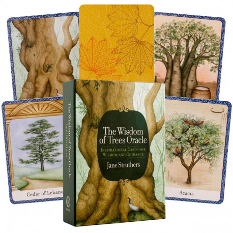 Oracle Cards The Wisdom Of Trees Watkins Publishing