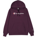 Champion Hooded Sweatshirt W 117529 VS503 (XL) Champion Hooded Sweatshirt W 117529 VS503 (XL)