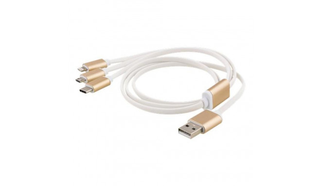 Deltaco USB-MULTI10 USB cable 1 m USB A USB C Gold, White