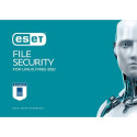 ESET Server Security 1 User 2 years Renew No Discount ( File Security) Antivirus security 2 year(s)