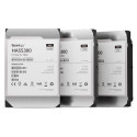 Synology HAS5300-8T internal hard drive 8 TB 7200 RPM 256 MB 3.5&quot; SAS
