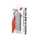 Canyon DS-12 USB 3.2 Gen 1 (3.1 Gen 1) Type-C Grey