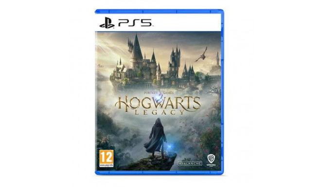 Sony Hogwarts Legacy Standard PlayStation 5