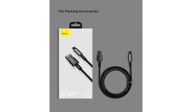 Baseus CALWJ-A01 lightning cable 2 m Black