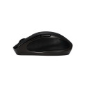 ASUS MW203 mouse Office Right-hand RF Wireless + Bluetooth Optical 2400 DPI