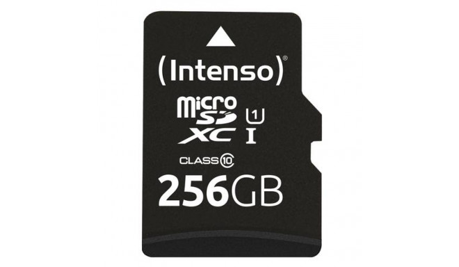 Intenso microSD 256GB UHS-I Perf CL10| Performance Class 10