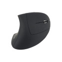 Equip Ergo wireless mouse