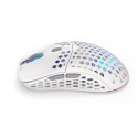 ENDORFY LIX OWH Wireless EY6A010 mouse Gaming Ambidextrous RF Wireless + USB Type-C Optical 16000 DP