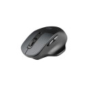 NATEC BlackBird 2 mouse Ambidextrous Office RF Wireless IR LED 1600 DPI