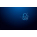Kingston Technology IronKey 16GB Vault Privacy 50 AES-256 Encrypted, FIPS 197