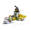 Camry Premium CR 4006 electric citrus press 500 W Black, Silver