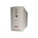 APC Back-UPS CS 350 - UPS - AC 230 V -