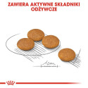 ROYAL CANIN Mini Dermacomfort -  dry food for adult small breeds of dogs with sensitive skin prone t