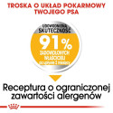 ROYAL CANIN Mini Dermacomfort -  dry food for adult small breeds of dogs with sensitive skin prone t