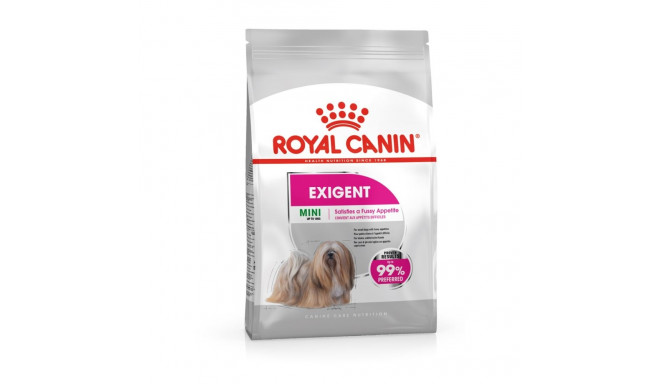 ROYAL CANIN Mini Exigent - dry food for fussy dogs - 1kg