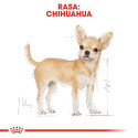 ROYAL CANIN BHN Chihuahua Adult dry dog food - 1.5 kg
