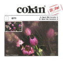 Cokin filter P071 C.Spot WA Incolor 2