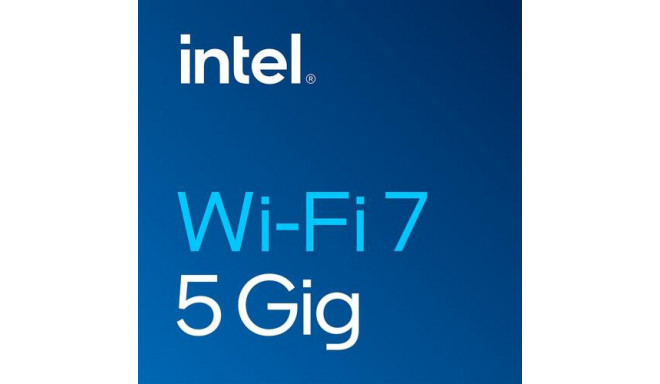 Intel Wi-Fi 7 BE200 Internal WLAN / Bluetooth 5800 Mbit/s