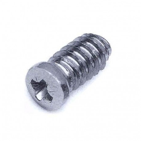 Euroopa standard polt