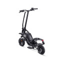 Acer PES017 electric scooter 1 seat(s) 900 W Black