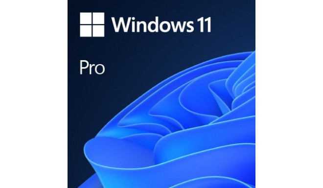 Microsoft Windows 11 Pro OEM