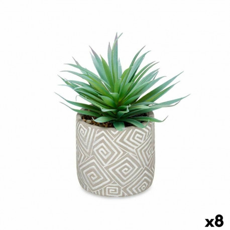 Dekoratiivne Taim Ibergarden QY-H012 Puit Plastmass Tsement Sukulent 17 x 21 x 17 cm (8 Ühikut)