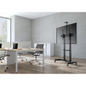 TV SET ACC FLOOR STAND 60-100"/TVS-100T-02 GEMBIRD