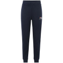 Fila Bovrup Pants M FAU0146 50004 (M)