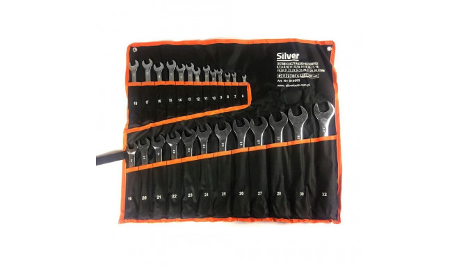 kombineeritud mutrivõtmete komplekt 25 tk hõbedane 6-32 mm