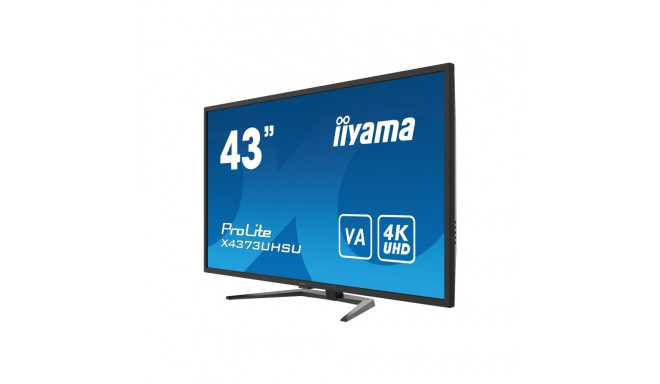 iiyama ProLite 43" suur lauamonitor 4K eraldusvõimega