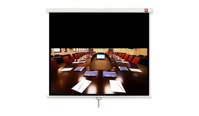 Avtek Business 240 projection screen 16:10