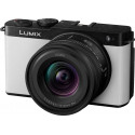 Panasonic Lumix DC-S9 + 18-40mm, smokey white