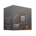 AMD Ryzen 5 8600G 100-100001237BOX Box