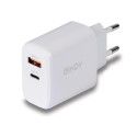 LINDY USB LadegerĂ¤t Typ A+C GaN Charger 65W, weiĂź