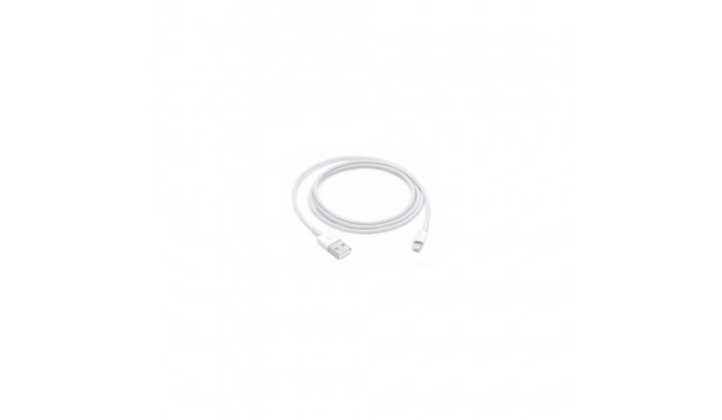 Apple Lightning to USB Cable (1m)