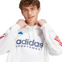 Adidas House of Tiro Nations Pack M sweatshirt IY4528 (S)