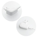 BLUE STAR LITE travel charger 1A 5W USB A + cable USB A to Lightning TFK-TC-1095B white