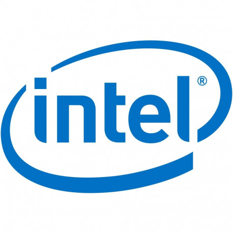 "Intel Remote Management Module 4 Lite 2 - Fernverwaltungsadapter"