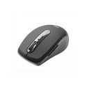 Wireless mouse silent click Focus M315 1600 DPI black
