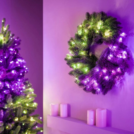 Twinkly eelvalgustatud pärg 50 RGB LED roheline juhe pistik tüüp C