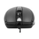 Targus Full-Size Optical Antimicrobial Wired Mouse | Targus Mouse | Full-Size Optical Antimicrobial 