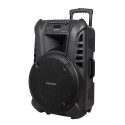 Aktiivne kõlarikapp (2 juhtmevaba UHF-mikrofoniga, SD, Bluetooth, FM, USB) 60 vatti
