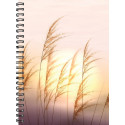 Book calendar Nature A5, spiral binding, (picture 2) 40242