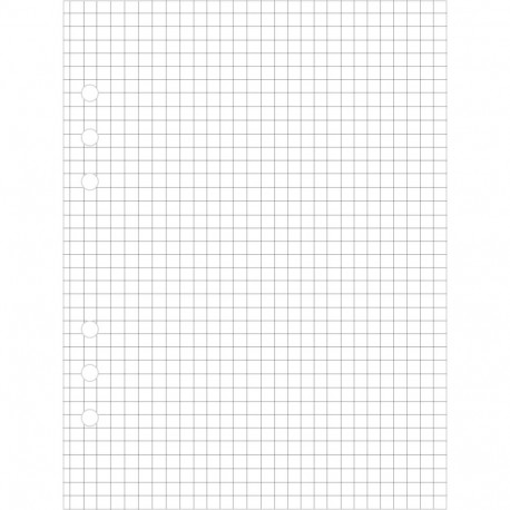 Kalendrisisu Manager A5 ruudulised lehed (70mm) Sulemees 00704