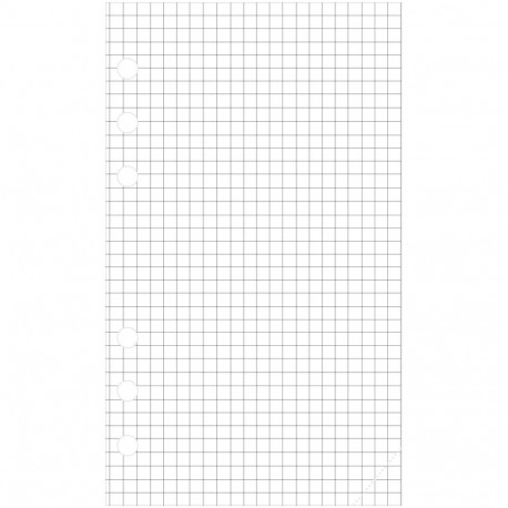 Kalendrisisu Compact A6 ruudulised lehed (30tk) Sulemees 00604