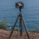 Falcam TreeRoot Quick Lock Travel Tripod