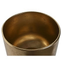 Jää-ämber Home ESPRIT Kuldne Vaik Troopiline 33 x 22 x 34,5 cm