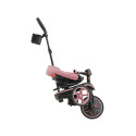 Globber Explorer Trike Foldable 4in1 Jr 732-210 bike